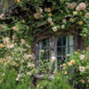 Meet your Posher, Avery